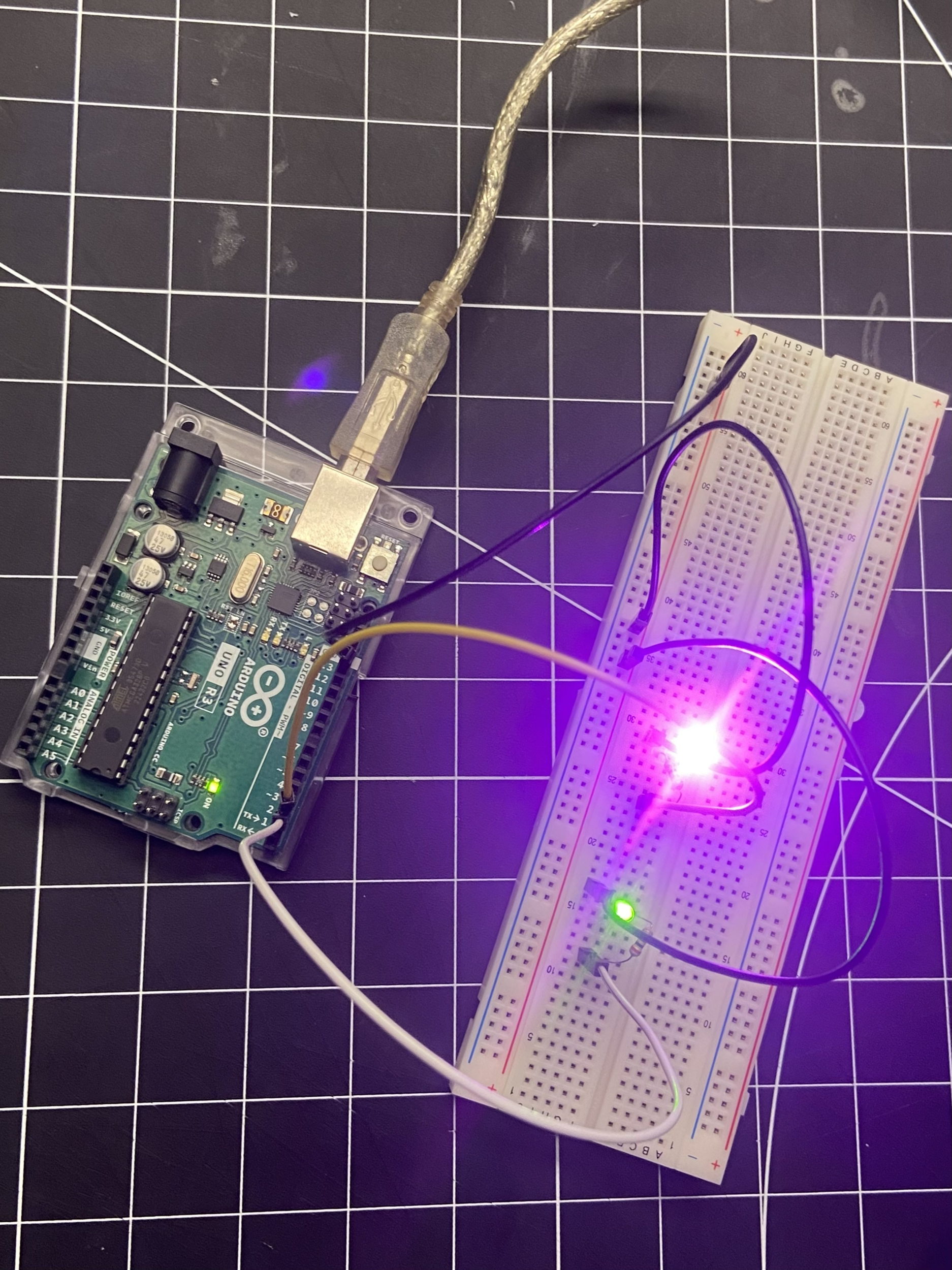 Creating a circuit that uses more than one light that flashes.